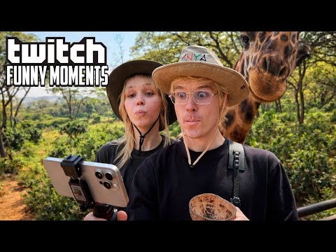 Топ Моменты с Twitch | Прилетели в Африку