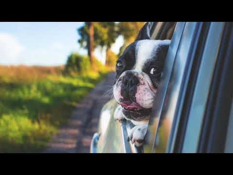 Inland Music - Water - Misc Originals