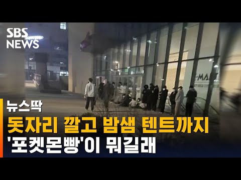 아이콘