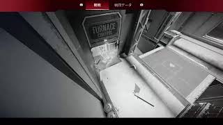 ゴールド帯　APEX　Apex　apex　エーペックス　エペ　視聴者参加型