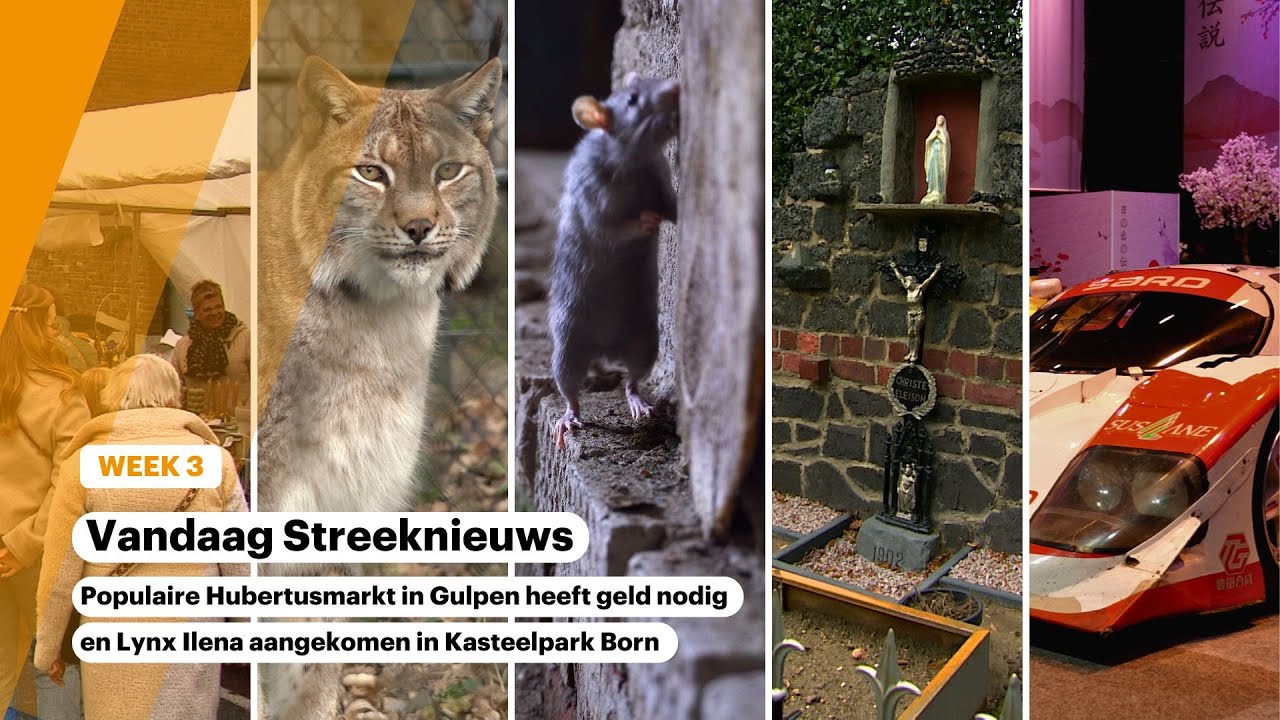 Vandaag Streeknieuws: Populaire Hubertusmarkt heeft geld nodig en Lynx Ilena aangekomen
