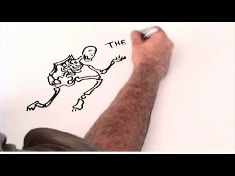 TMD explained by Dr. Curtis Westersund