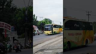 Download lagu Body klasik po pahala kencana bandung - baturaja #busmania #bus #Shorts mp3