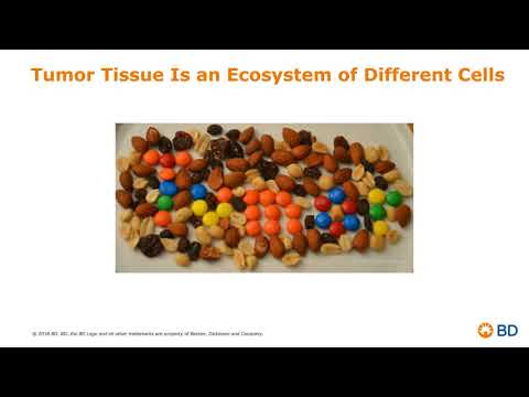 Single Cell Analysis Unveiling Tumor Heterogeneity