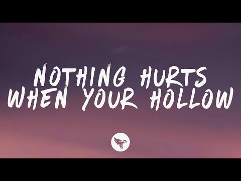 Stand Atlantic & Polaris - NOTHING HURTS WHEN YOUR HOLLOW (Lyrics)