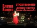 Руслан Fobos (RuFobos) на концерте Елены Ваенги, 26.11.2014, "Доброго ...