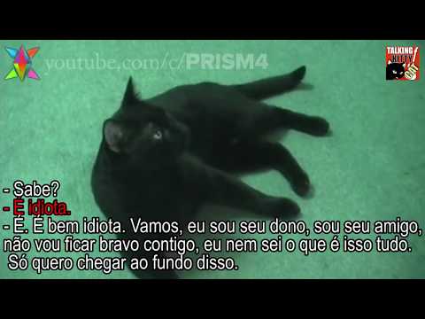 Ep. 12 - De novo, Quem é Todd? - Legendado