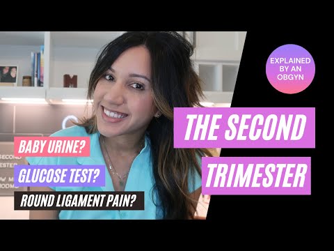 The Second Trimester | Explained by an OBGYN