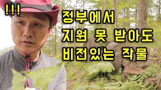 정부에서 지원하는 79가지 임산물에 포함되지 않은 작물들을 소개합니다
