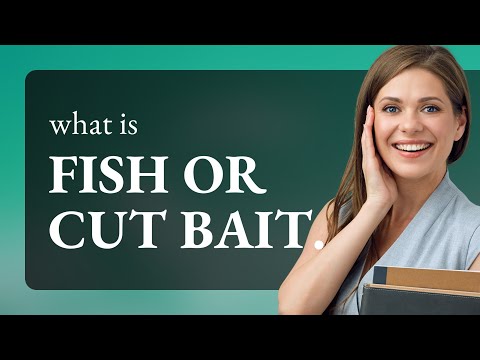 Understanding the Phrase "Fish or Cut Bait": A Guide to English Idioms