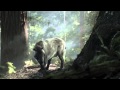 WWF Forest Marcel Publicis Argentina