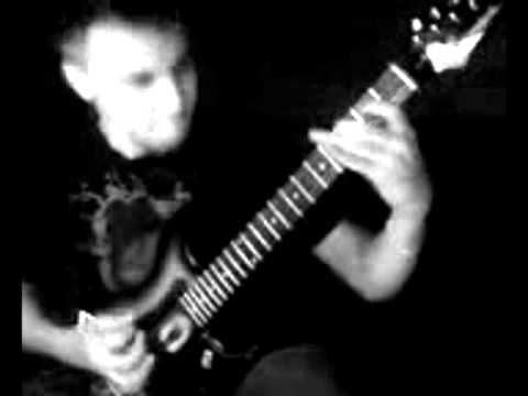 Bleeding Skies - The Place Promised In Our Early Days (Max Yofdo Guitar Cover)
