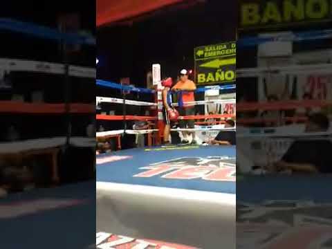 Alan el "gallito" estrada noqueo jairo ricardo vs Gallito estrada