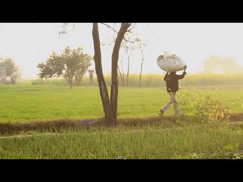 WINTER MORNING 🌞//  BANGLADESH// @nasiruddinshihab5293