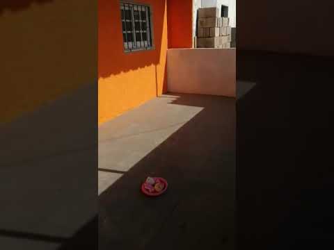 Video de YouTube - Casa en Alquiler de 1 dormitorio con Patio y Garage en Jardines del Hipódromo, Montevideo