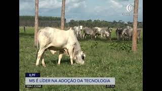 Miniatura do vídeo