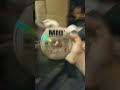 Little DVD Pizza Pizza Dizzy Sprile Ape Fool