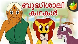 ബുദ്ധിശാലി കഥകൾ | Clever Stories For Kids | Moral Stories | Magicbox Malayalam