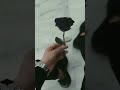 New Black Lover Whatsapp Status Only Black Shorts