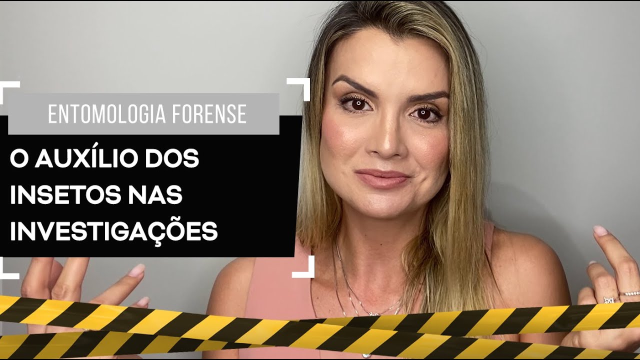 Entomologia Forense: o auxílio dos insetos nas investigações