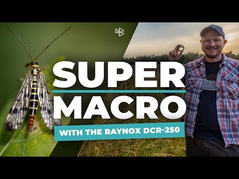 Raynox DCR-250 - Super Macro Photography