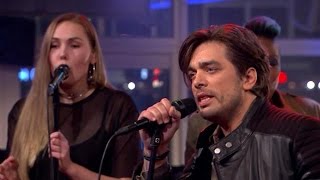 Waylon - Could You Be Loved - RTL LATE NIGHT