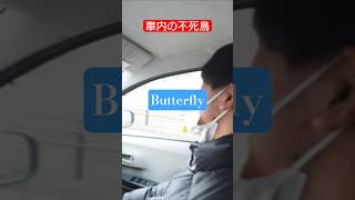車内で懐かしのデジモンOP熱唱 #アニメ #歌ってみた #デジモン たかはしじじ