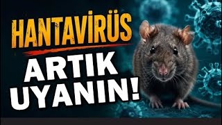SİLİNMEDEN İZLEYİN! HANTAVİRÜS İLE ÖYLE BİR ŞEY YAPACAKLAR Kİ…