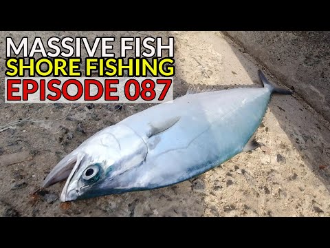 SHORE FISHING : Massive FISH | Casting in Red Sea Saudi Arabia | Jeddah KSA