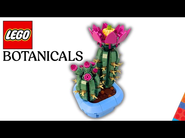 Vídeo relacionado con LEGO Botanicals Cactus en Flor - Planta con Maceta Artificial con 2 Cactus y Flores - Decoración de la Habitación - Regalo de Cumpleaños para Niñas de 9+ Años y Amantes de Las Plantas - 11509
