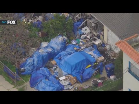 Hoarding Crisis in San Pedro: The Urgent Need for City Intervention