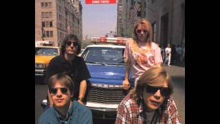 Sonic Youth Animals - Mary Christ Demo