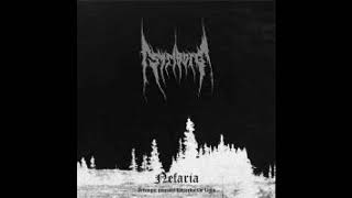 Striborg - &quot;Nefaria - A Tragic Journey Towards the Light&quot; [full album, 2006]