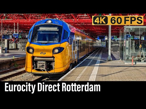 Trein Cabinerit NL / Eurocity Direct Rotterdam! / Almere - Amsterdam - Rotterdam / ICNG / Aug 2025