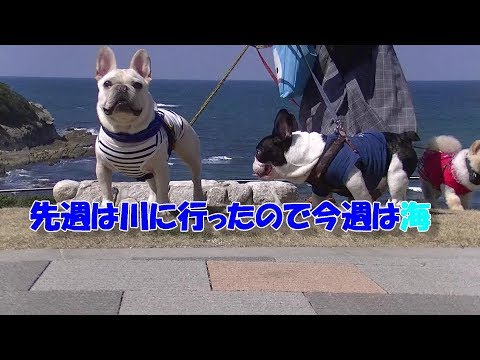 カイトサーフィンを見て来たよ！I saw kite surfing!