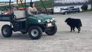 UTV Polaris RANGER 500 | صورة 4 - Autoline