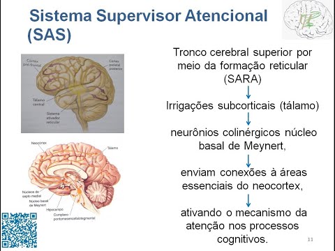 Psicologia Neurociências: Função Executiva Atenção Sistema Supervisor Atencional (SAS) - SARA
