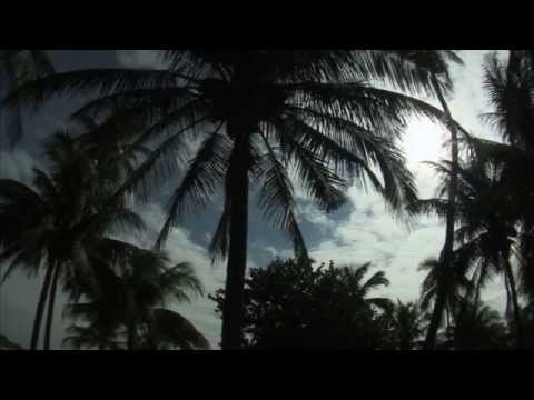 Terese Romeo Update - Freedom Golfer - Highlights/Interview