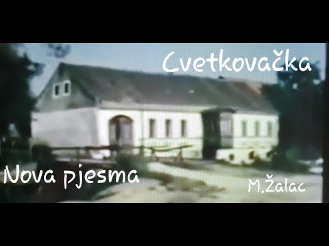 CVETKOVACKA  Mladen Zalac