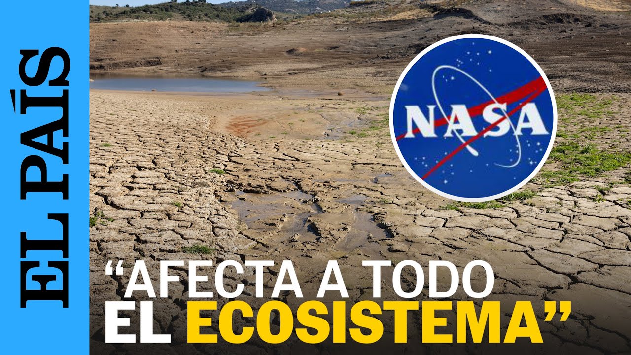 CLIMA | 2024 ha sido el año más caluroso y el primero en superar los 1.5 °C de calentamiento