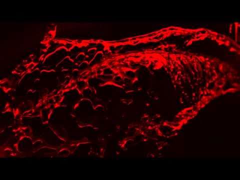 Deep Zone project - On Fire 2010