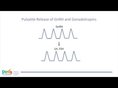 Puberty and Pubertal Disorders – Part 1  Normal Puberty