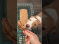 Making Chicken Feet Treats For My Dogs For Under 5