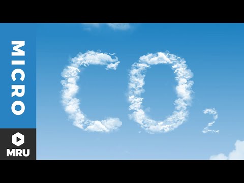 A Deeper Look at Tradeable Allowances