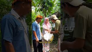 Download lagu MILIK NU KUAT MAH #komedisunda #lucu #nyaiakang mp3 Download lagu MILIK NU KUAT MAH #komedisunda #lucu #nyaiakang mp3
