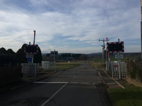 Delny Level Crossing (08/03/2025)
