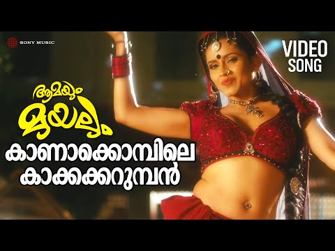 Kaanakombile | Video Song | Aamayum Muyalum | Jayasurya | Piaa Bajpai | Bhavna Pani | Priyadarshan