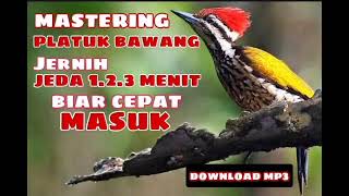 Download lagu MASTERAN PLATUK BAWANG.JERNIH JEDA 1.2.3. MENIT mp3 Download lagu MASTERAN PLATUK BAWANG.JERNIH JEDA 1.2.3. MENIT mp3