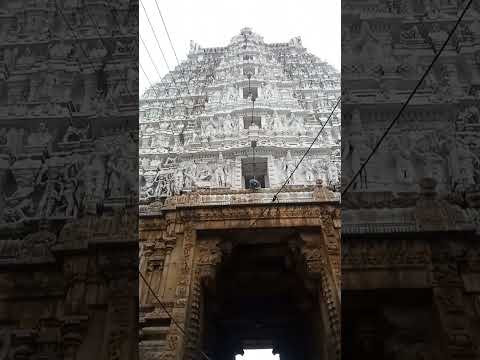 ஸ்ரீ கோவிந்த ராஜா சுவாமி  கோவில்  @callmevasanth  #tirupatibalajitemple  #srigovindarajaswamy