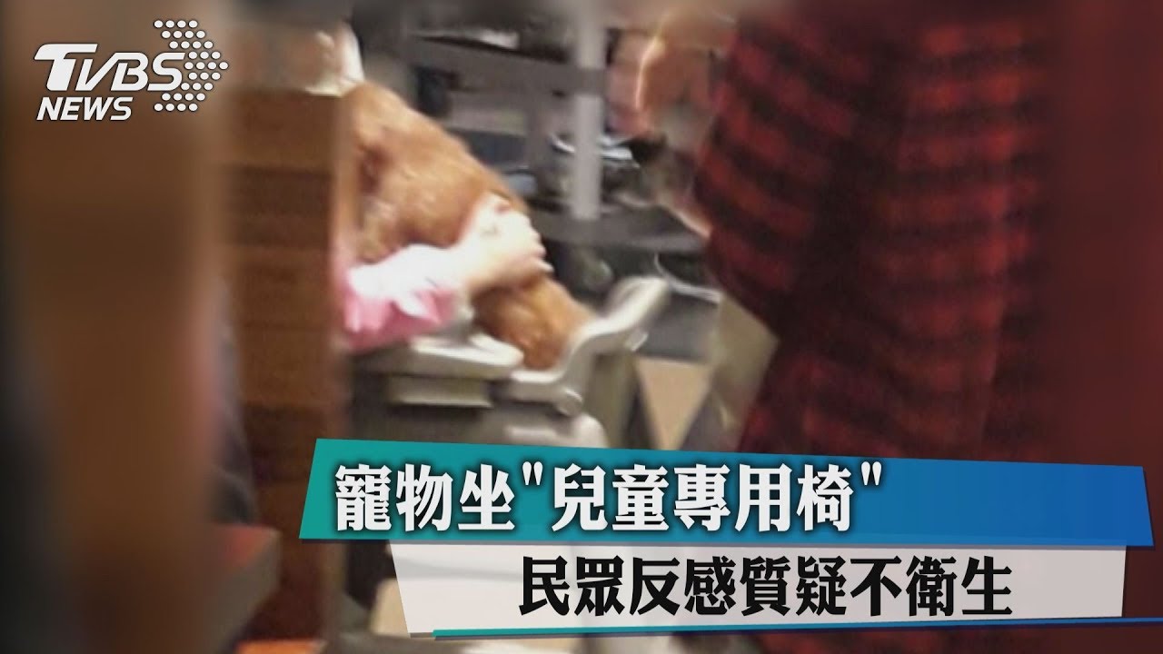 寵物坐「兒童專用椅」 民眾反感質疑不衛生